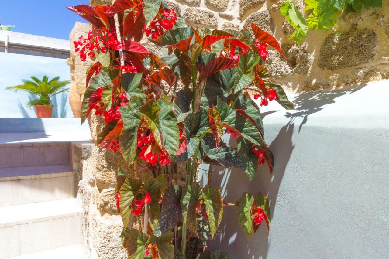 Colours - Old Town - Studios Rhodes City Exteriér fotografie